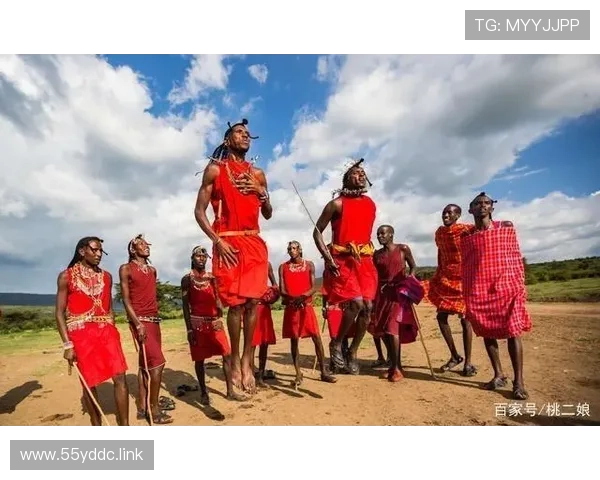 非洲台直播：探索神秘大陆的视听盛宴